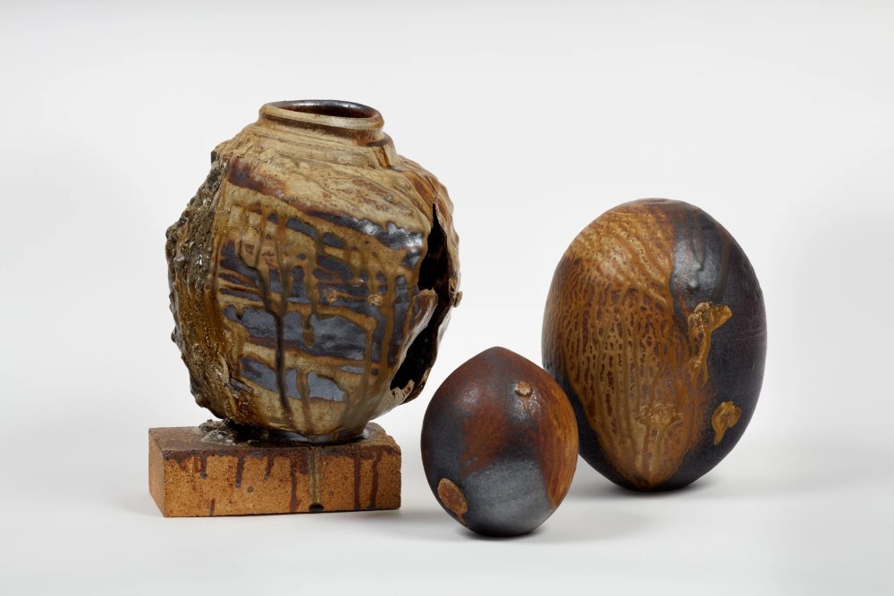 GALLERYPLATFORM.LA | Adam Silverman: LACMA Seeds and Weeds